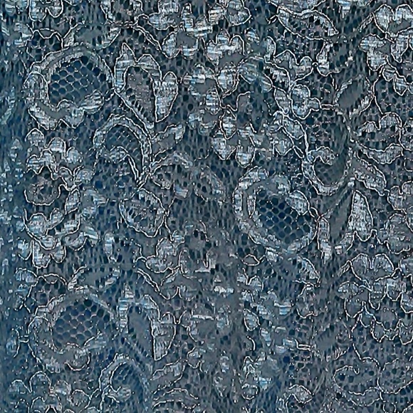 NWT David’s Bridal Steel Blue Short Lace Dress High Neck,V-Back, Lined Size 8 - Picture 16 of 16